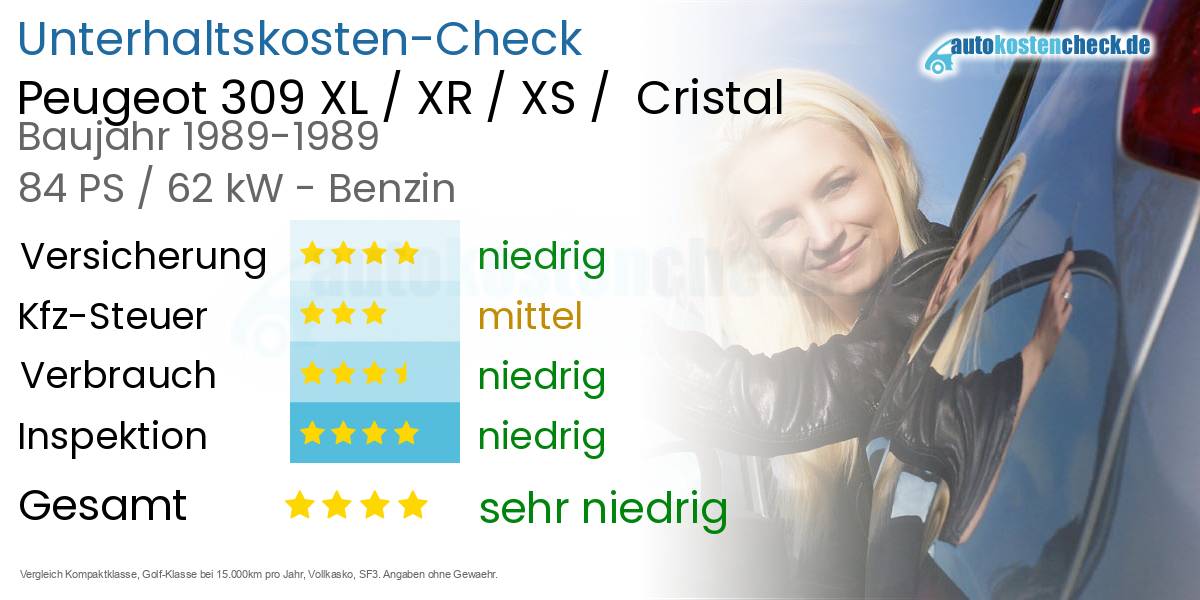 Unterhaltskosten Peugeot 309 XL / XR / XS /  Cristal 