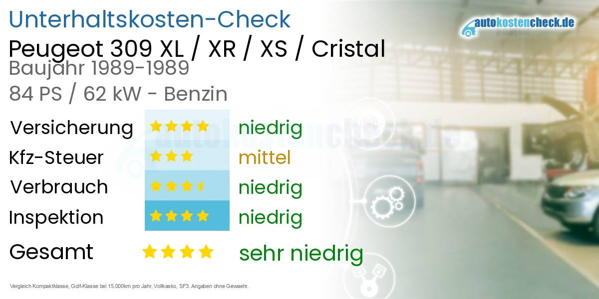 Unterhaltskosten Peugeot 309 XL / XR / XS / Cristal 