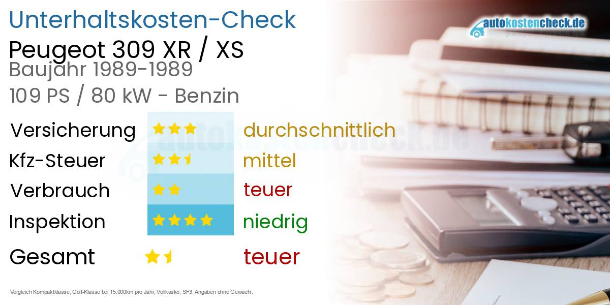 Unterhaltskosten Peugeot 309 XR / XS 