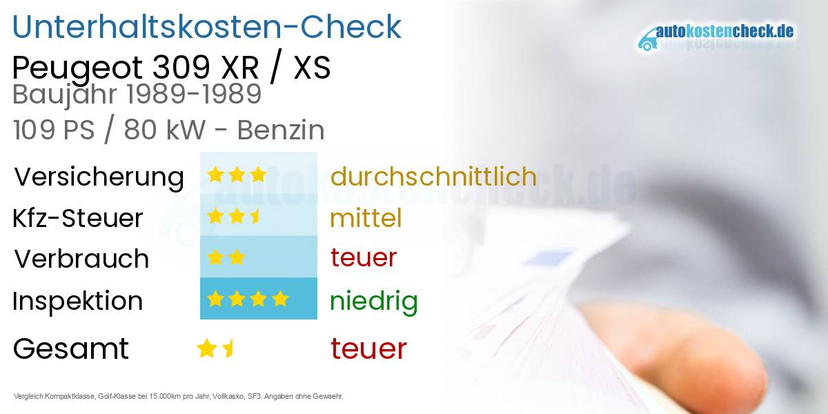 Unterhaltskosten Peugeot 309 XR / XS 