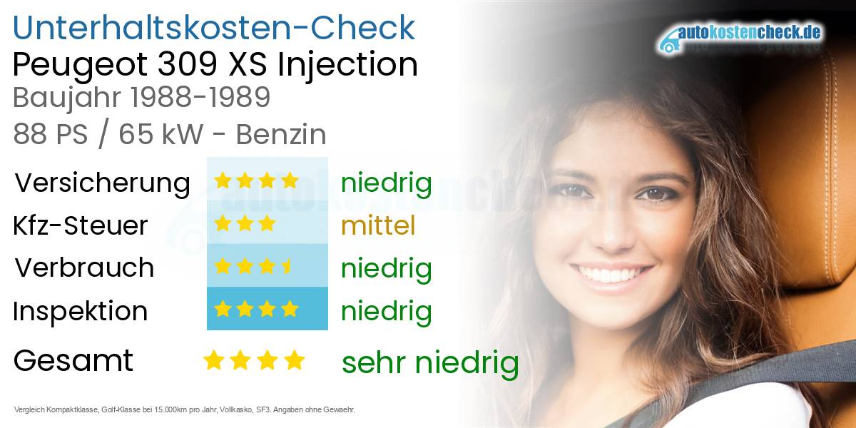 Unterhaltskosten Peugeot 309 XS Injection 