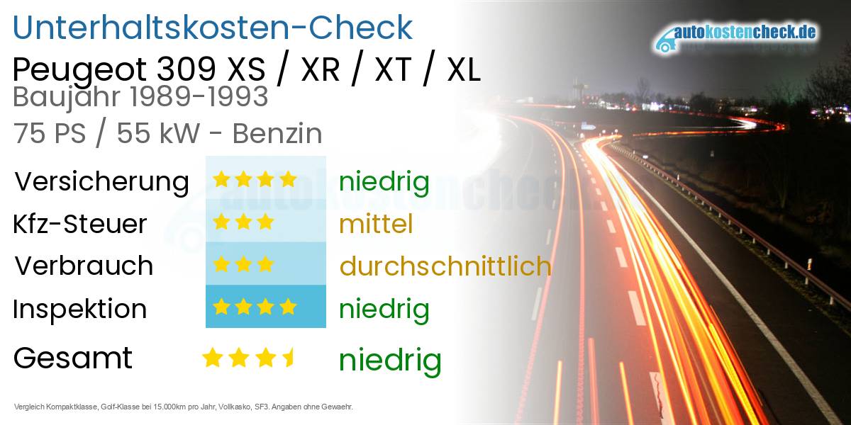 Unterhaltskosten Peugeot 309 XS / XR / XT / XL 