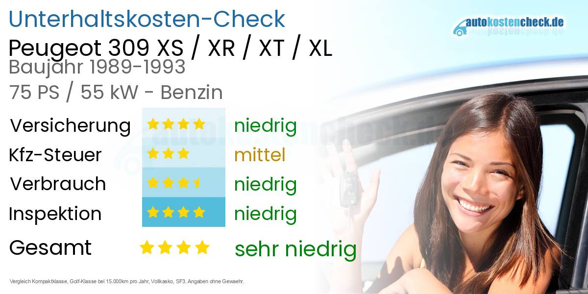 Unterhaltskosten Peugeot 309 XS / XR / XT / XL 