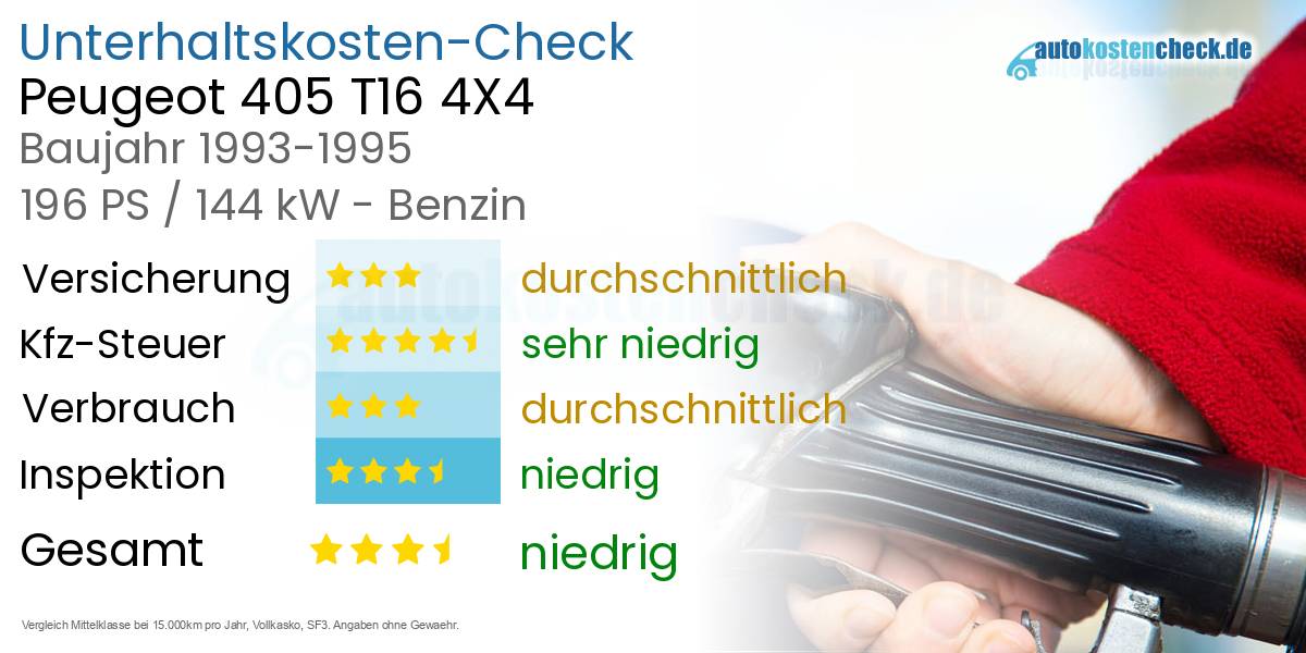 Unterhaltskosten Peugeot 405 T16 4X4 