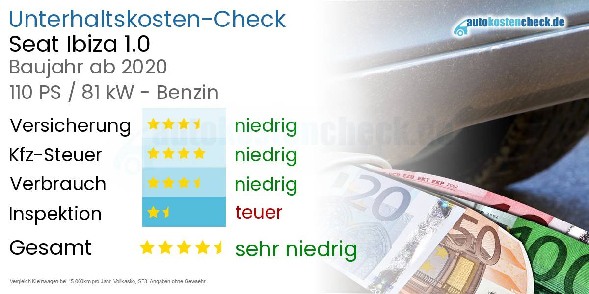Unterhaltskosten Seat Ibiza 1.0 