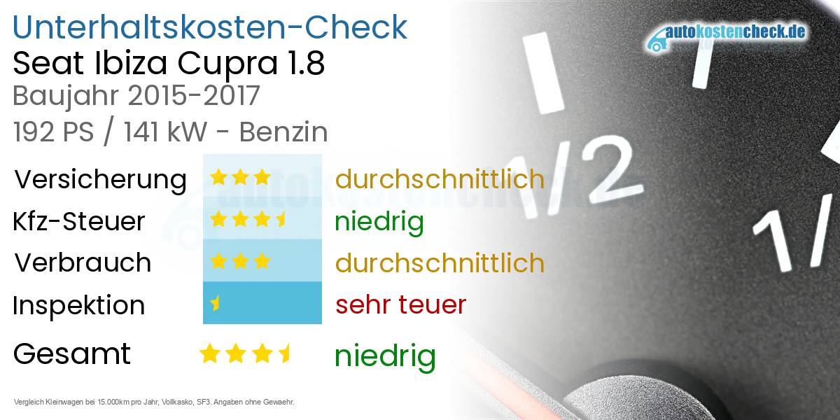 Unterhaltskosten Seat Ibiza Cupra 1.8 