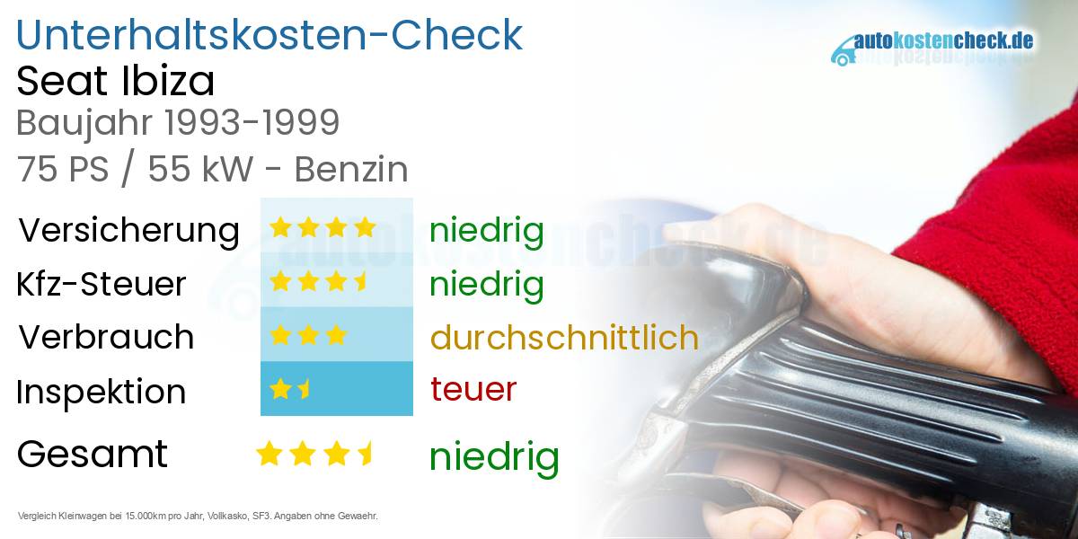 Unterhaltskosten Seat Ibiza 