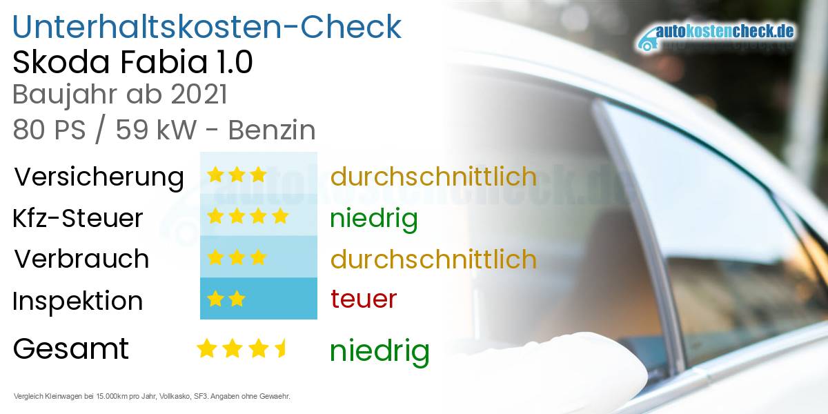 Unterhaltskosten Skoda Fabia 1.0 