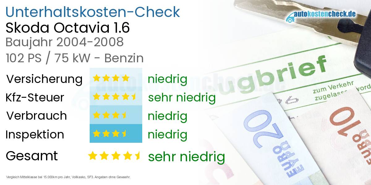 Unterhaltskosten Skoda Octavia 1.6 