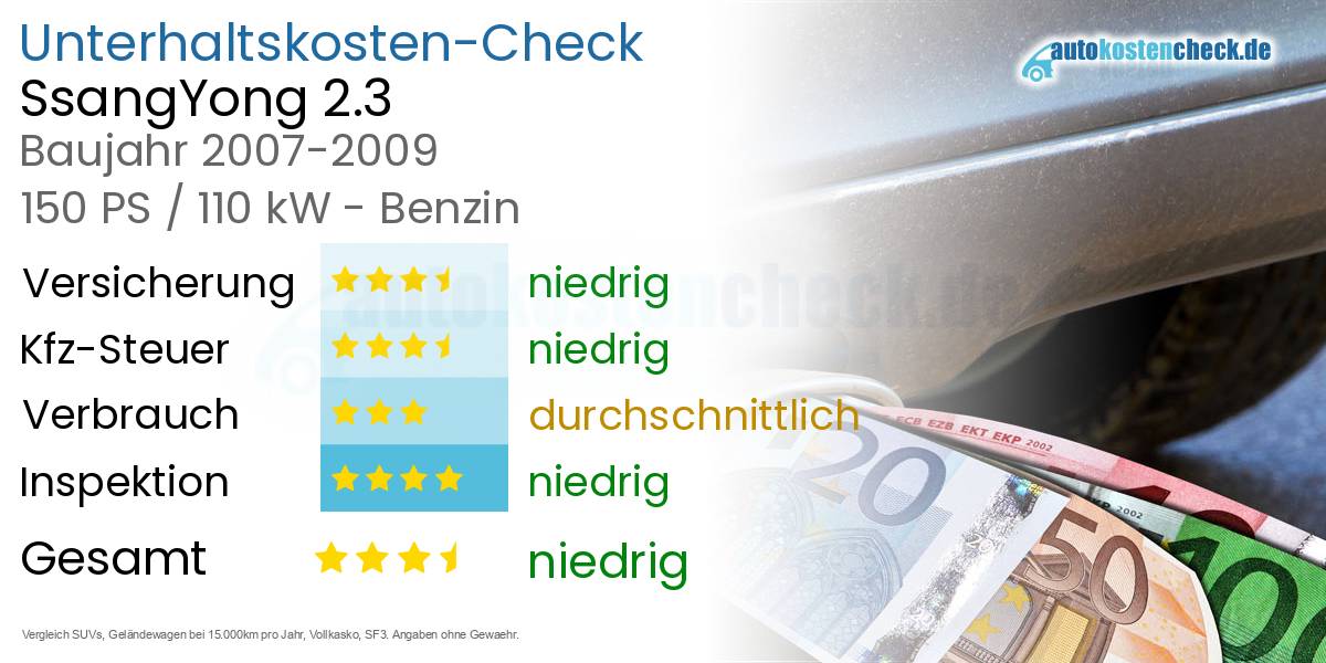 Unterhaltskosten SsangYong 2.3 