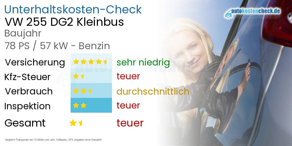 Unterhaltskosten VW 255 DG2 Kleinbus